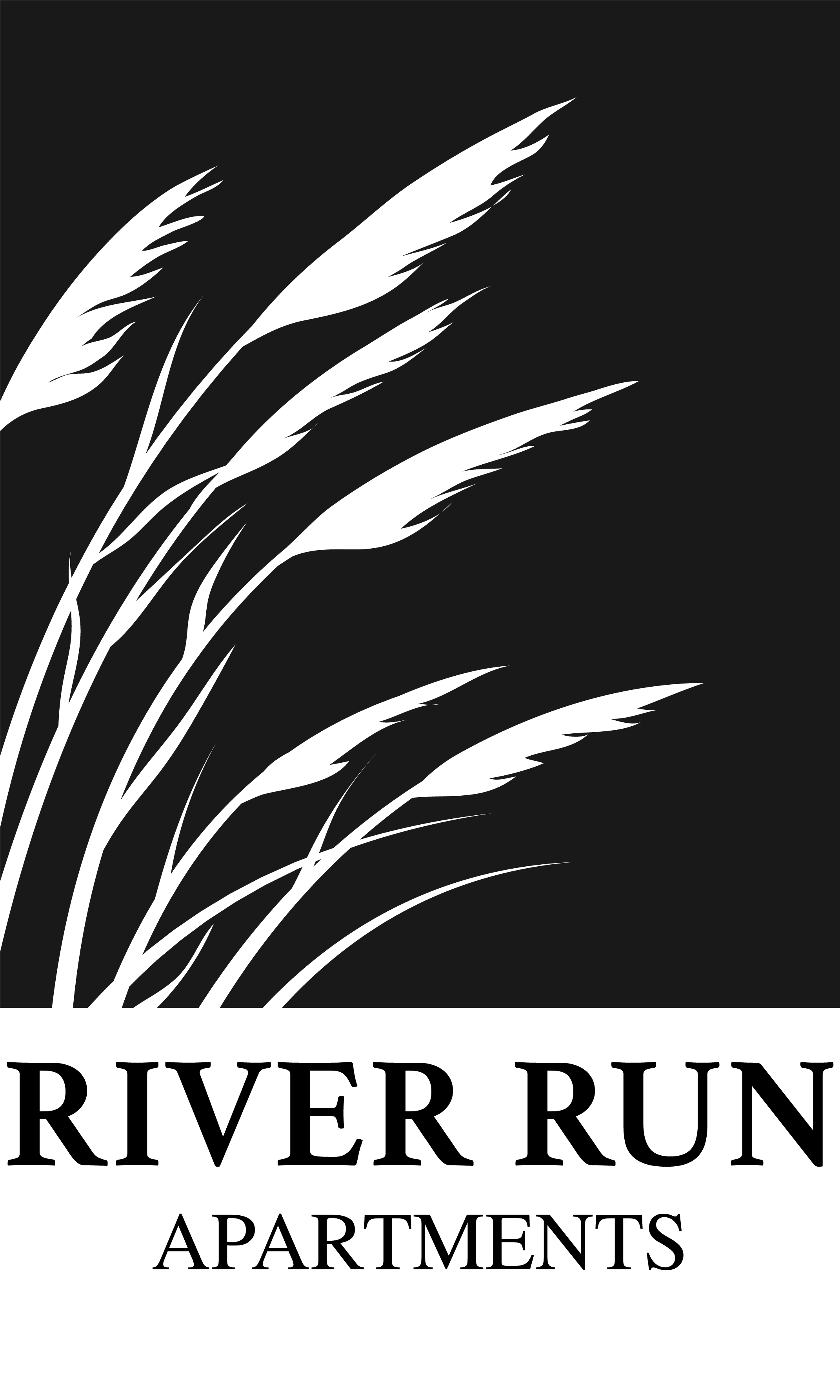 A black and white image of a plant.